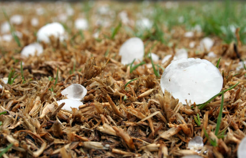 Hail-Damage-MM