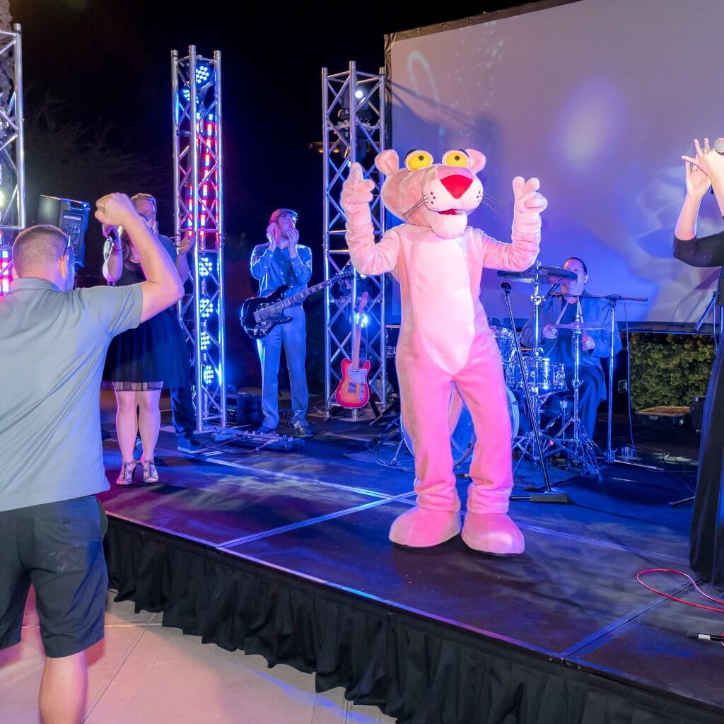 pink mascot