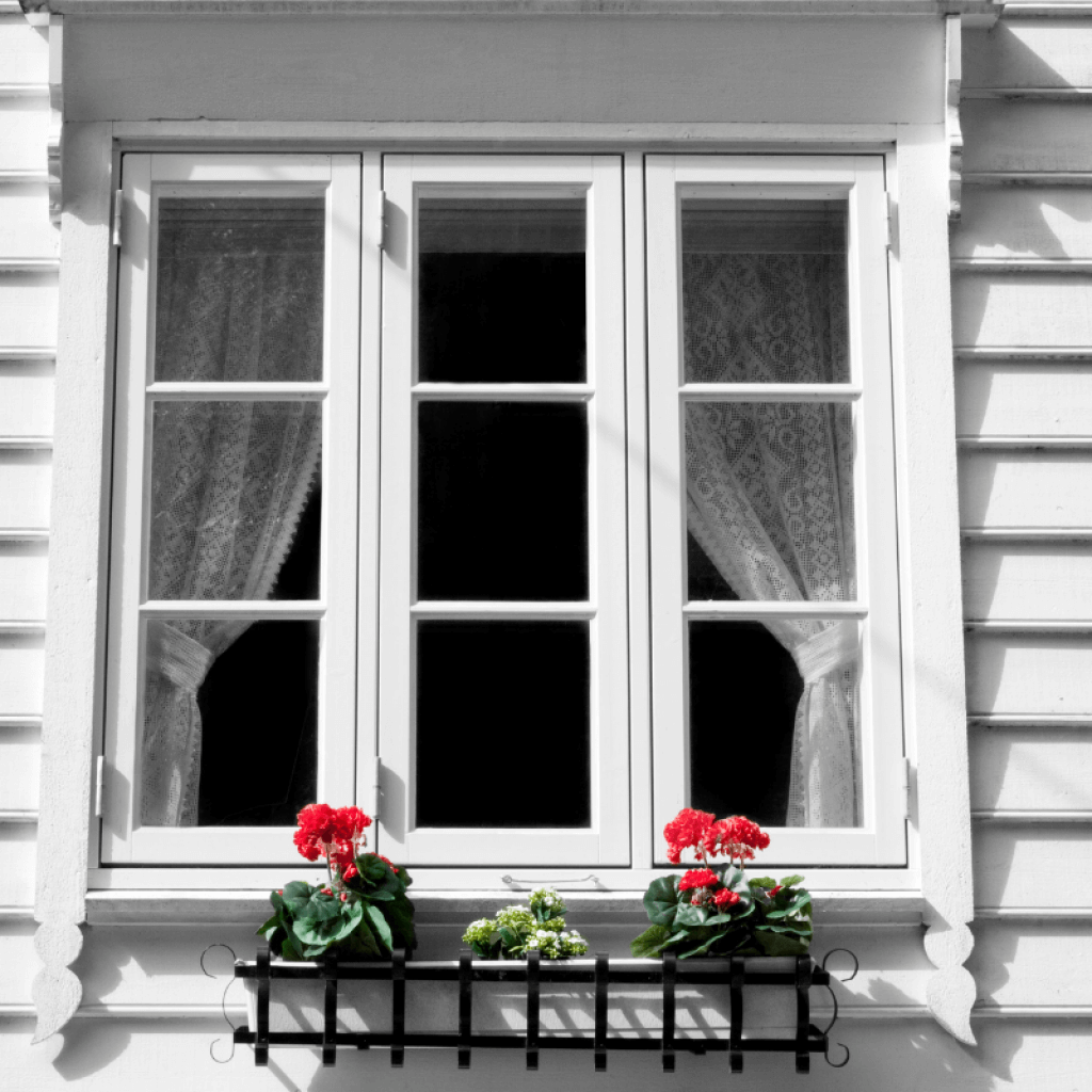 window